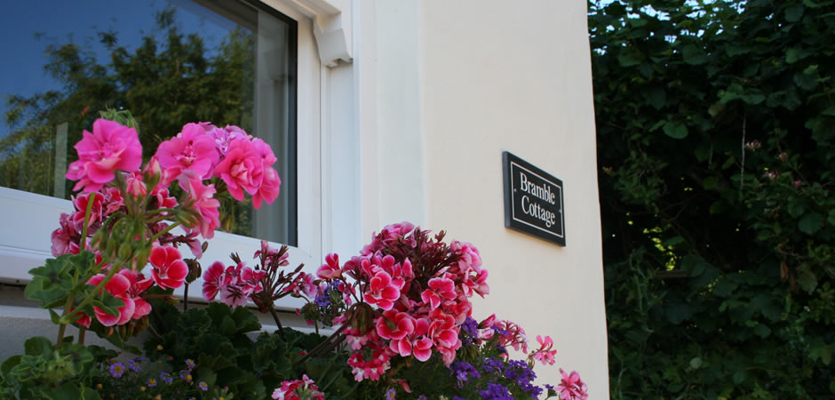 Discover Bramble Cottage